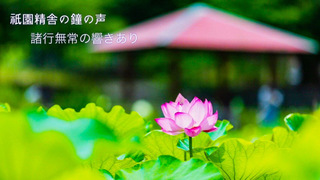 D9E9B93C-2D93-48DD-9F01-E0CD782A4233.jpeg